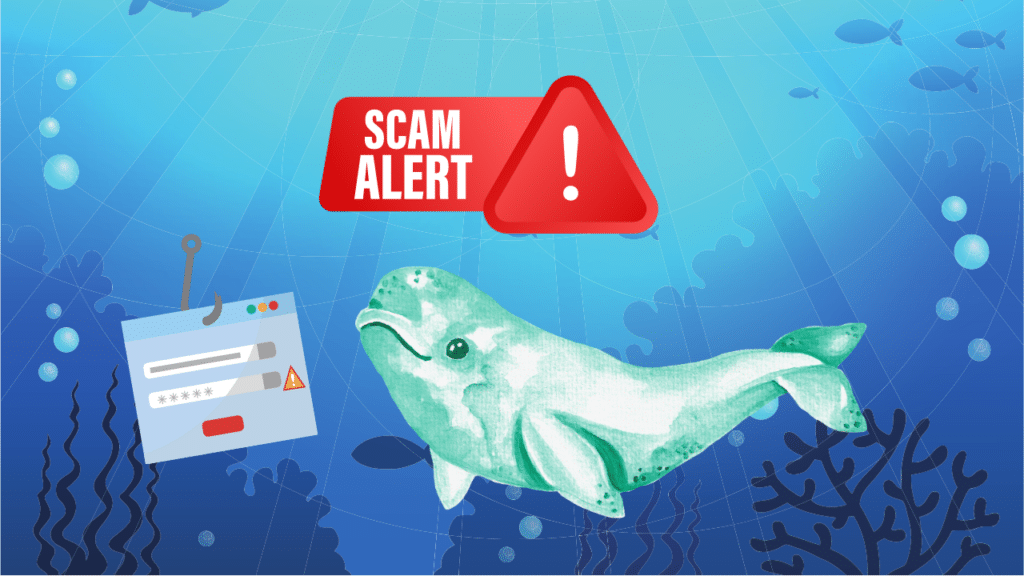A phishing page appears next to a beluga whale in an underwater scene. A "scam alert!" sign is overhead.