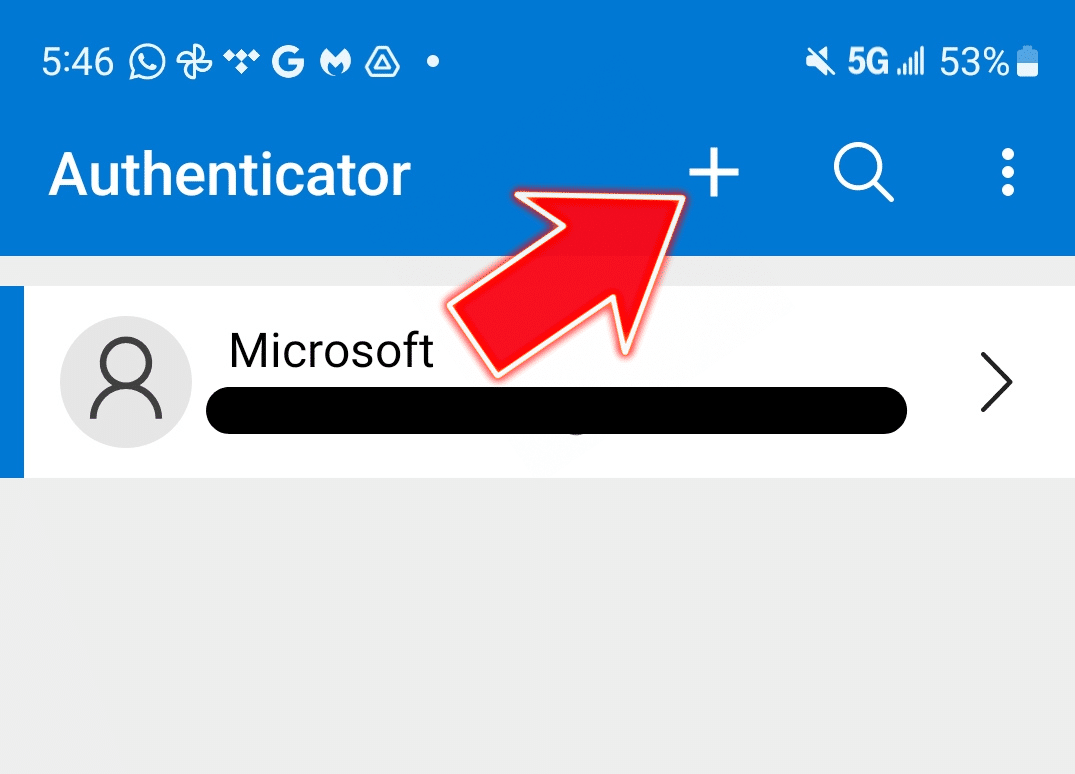At the top of the authenticator is the name Authenticator, followed by a plus sign, a search icon and a hamburger menu. Click the plus sign to add an account.