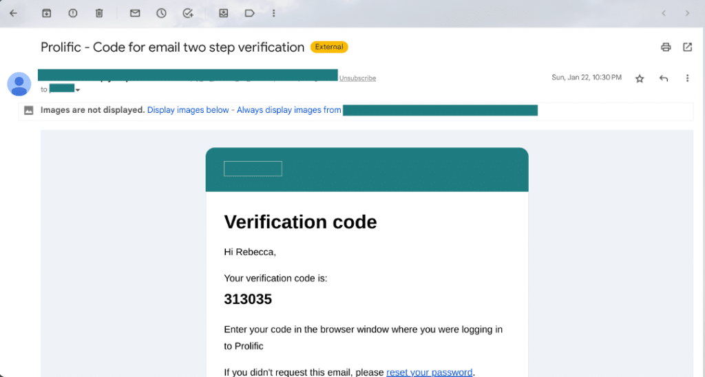 An email containing a 2FA code that reads:
Hi Rebecca,
Your verification code is:
313035
Enter your code in the browser window where you were logging in to Prolific.
If you didn't request this email, please reset your password.