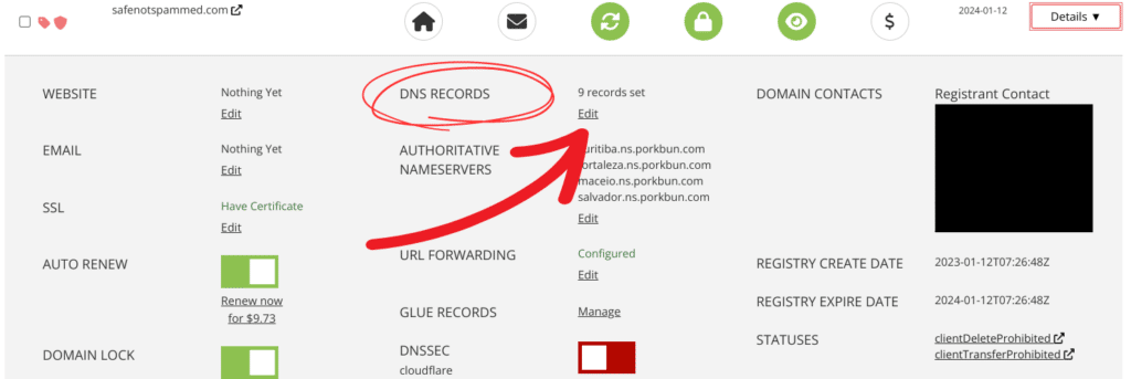 Porkbun's domain management UI. 
Website Nothing Yet Edit
DNS records 9 records set Edit
...