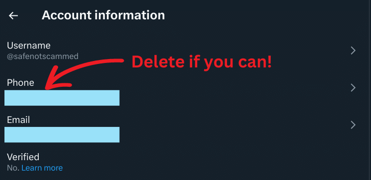 X's Account Information UI
Username @safenotscammed
Phone redacted
Email redacted
Verified No